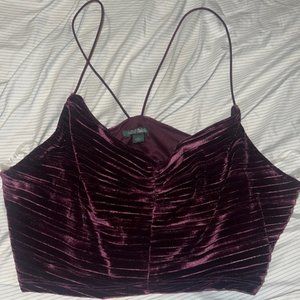 NWOT wild fable velvet top